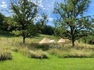 a group of tents in a field with trees at Camping équipé : Vallon de Laborie in Astaillac