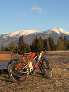 a bike parked in a field with mountains in the background at Chata Medovka in Východná