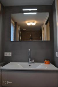 a bathroom with a sink and a large mirror at Saskia's logeerhuis in Arnhem +8 photos