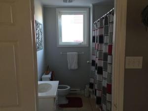 a bathroom with a toilet and a sink and a window at Downtown Apt 5 Private Deck Queens Road in St. John's