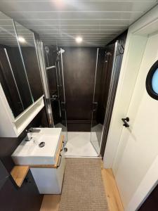 a bathroom with a shower and a sink at Tiny House Spreemaus in Hangelsberg +7 photos