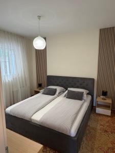 a bedroom with a large bed in a room at Villa AYA - with sauna and outdoor swimming pool in Mostar