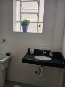 a bathroom with a sink and a mirror and a plant at Aconchego do Lar Centro BH Apto 633 Rua da Bahia 187 in Belo Horizonte