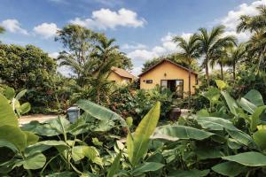 a house in the middle of a field of plants at Hidden Valley Eco Retreat Trang An in Ninh Binh
