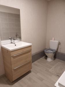 a bathroom with a sink and a toilet at Comfortable studio dans une maison au calme in Bellerive-sur-Allier +16 photos