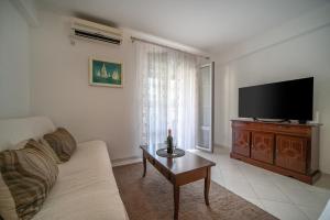 a living room with a couch and a flat screen tv at Olive View apartment in Rafailovici