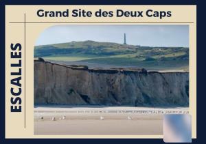 a group of birds standing on a beach near a cliff at La coloc suédoise in Calais
