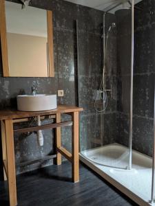 a bathroom with a sink and a shower at Dielpenhof in Zedelgem