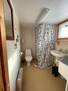 a small bathroom with a toilet and a sink at Schwedentraum in Östrahult