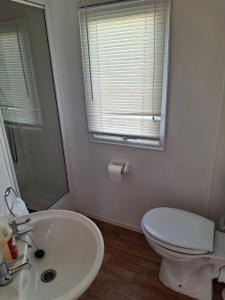 a bathroom with a sink and a toilet and a mirror at Comforts caravan in Winthorpe
