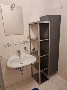 a bathroom with a sink and a book shelf at Herzensplatzl in Pfaffenhofen