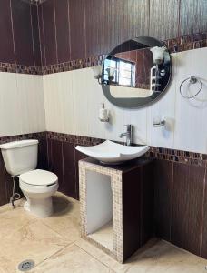 a bathroom with a toilet and a sink and a mirror at La prieta linda in Tamasopo +9 photos
