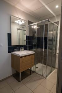 a bathroom with a sink and a shower at Auberge du Cezallier in Montgreleix +42 photos
