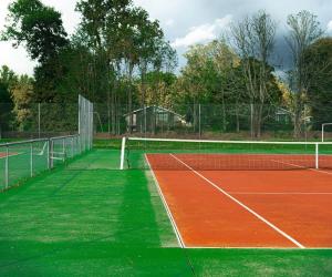 a tennis court with a net on top of it at Villa de l Eyre in Salles