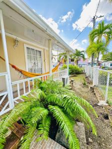a house with a large green plant in front of it at Enchanted Paradise in Ayacucho