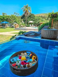 a basket filled with toys in a swimming pool at Pousada Rancho Soberbo, Serra do Cipó in Serra do Cipo