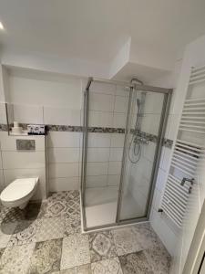 a bathroom with a shower and a toilet at Salinenappartement in Bad Kreuznach