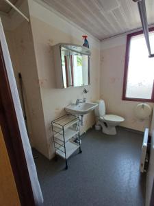 a bathroom with a sink and a toilet at Bo bra i Borgholm in Borgholm +45 photos