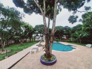 a tree sitting next to a swimming pool at Quinta Los Guacamayos in El Picacho