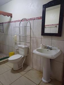 a bathroom with a toilet and a sink and a mirror at Quinta Los Guacamayos in El Picacho +3 photos