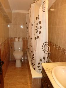 a bathroom with a toilet and a shower curtain at Aititerena in Murueta-Orozko