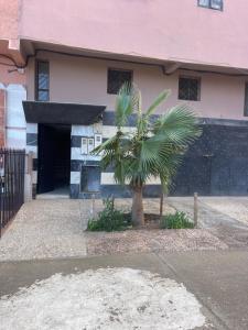 a palm tree in front of a building at Appartement Marrakech in Marrakesh