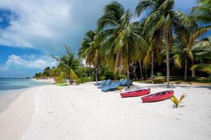 a group of boats on a beach with palm trees at Villa Angela in Isla Mujeres