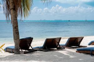 three lounge chairs on the beach under a palm tree at Villa Angela in Isla Mujeres +58 photos