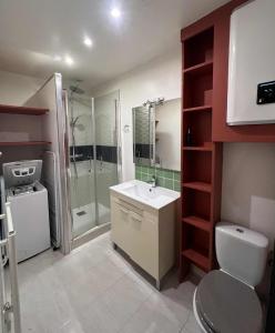a bathroom with a sink and a shower and a toilet at Studio pour 2 en plein centre-ville in Dol-de-Bretagne