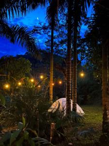 a tent under palm trees at night at Camping Místico - Vale do Ribeira in Juquiá