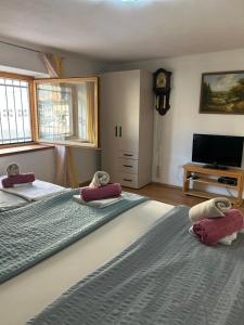 two beds in a room with a television and a room with at Apartman Stone Garden 2 in Mostar