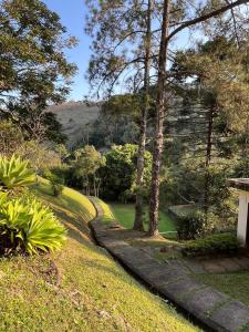 a path in a garden with trees and a mountain at Sitio vale das araucarias in Araras Petropolis