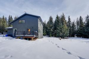 a blue house in the snow with trees at Bring Your Pets! Secluded Homer Escape w/ Deck in Homer