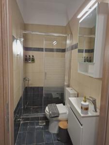 a bathroom with a shower and a toilet and a sink at Studio Panos 2 in Mytilene