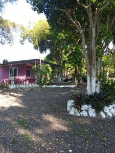 a pink house with a tree in the yard at Calakmul Otoch Béek in Chicanna