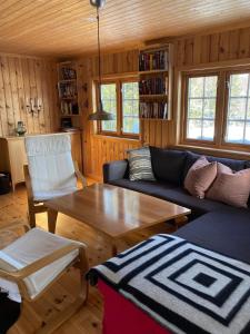 a living room with a couch and a table at Cabin in Tydal, enjoy! in Tydal