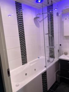 a bathroom with a shower and a tub and a sink at Andrelle Rental in Tõrvandi