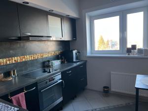 a kitchen with a sink and a stove top oven at Andrelle Rental in Tõrvandi +5 photos