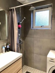 a bathroom with a shower and a sink and a window at Apartment with a view at Tonsenhagen in Oslo +14 photos