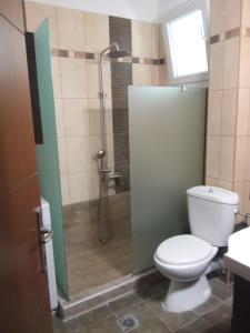 a bathroom with a toilet and a shower at SOFI APARTMENT in Ofrínion +16 photos
