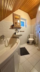 a bathroom with a tub and a sink and a toilet at Domeček Karlov in Malá Morávka +15 photos