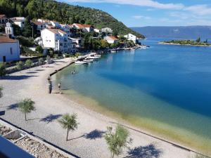 an aerial view of a beach with palm trees and houses at Villa Ante Blace in Blace