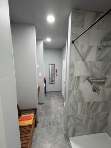 a bathroom with a shower and a walk in shower at Germantown Inn & Lounge in Hermann