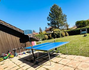 a blue ping pong table with a basketball hoop at Beausoleil SPA Villa L-Geneva, Lake, Mountains-Full Love Stay-SPA optional extra fee in Chens-sur-Léman
