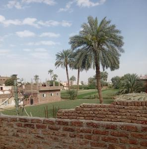 a brick wall with palm trees in the background at Sun Rise House Luxor in Al Aqālitah +16 photos