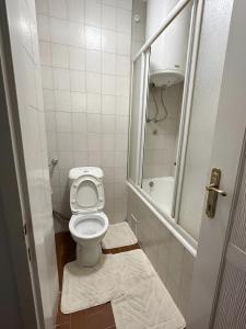 a small bathroom with a toilet and a shower at Apartman Katarina in Sutomore