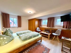 a bedroom with a bed and a tv in it at Landhaus Büttner Altenberg, zentral, familienfreundlich, Skihang & Erlebnisberg fußläufig in Kurort Altenberg