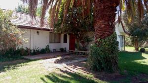 a house with a palm tree in front of it at Chalet yuris in Melipilla