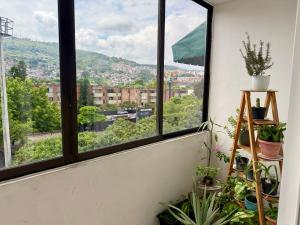 a room with windows with plants and a view at Tequendama Amplio apto Cerca a clínicas in Cali