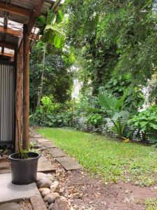Gallery image of Hidden Garden in Cannonvale
